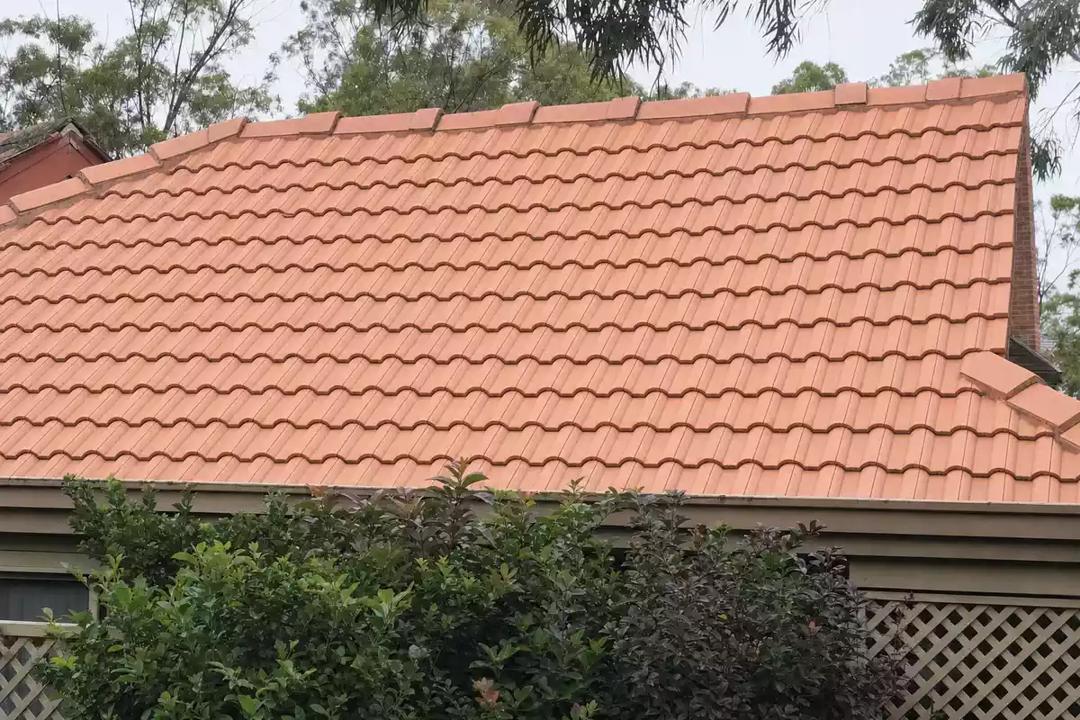 Illustration of a terracotta tile roof after a professional clean