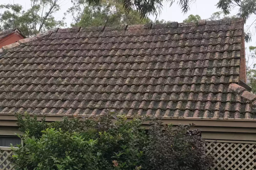 Illustration of a terracotta tile roof before a professional clean